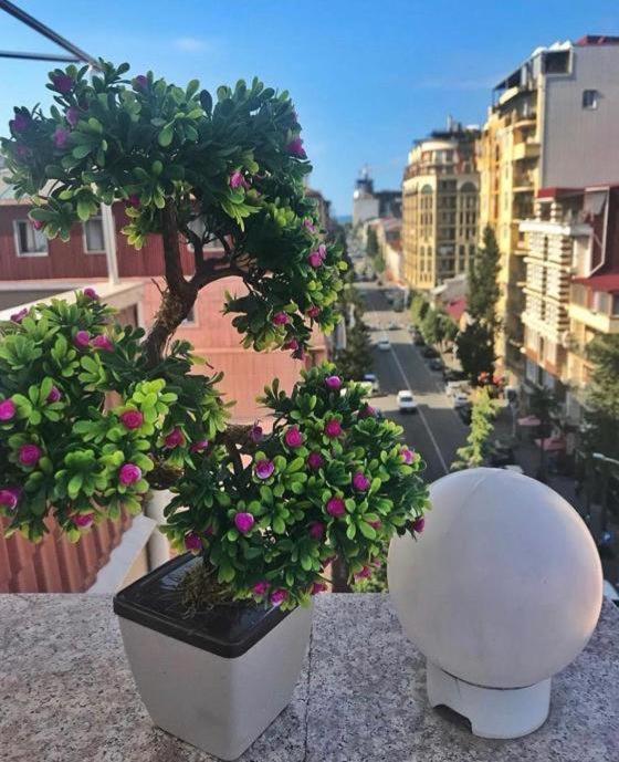 Hotel Elio Inn Batumi Zewnętrze zdjęcie